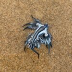 Siguen cerrando playas en España por la llegada del dragón azul, pequeño pero venenoso