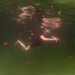 Hay un destino único en el que puedes nadar entre medusas sin miedo a picaduras