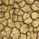 ¿Se puede predecir los incendios forestales y evitar que se produzcan?