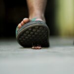 Lo que haces siempre mal para acabar con las cucarachas según los expertos