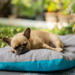 ¿Funcionan las mantas refrescantes de TikTok? Una experta responde