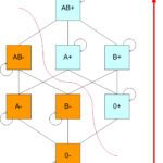 El riesgo de ictus se eleva si tienes este grupo sanguíneo (aunque seas joven)