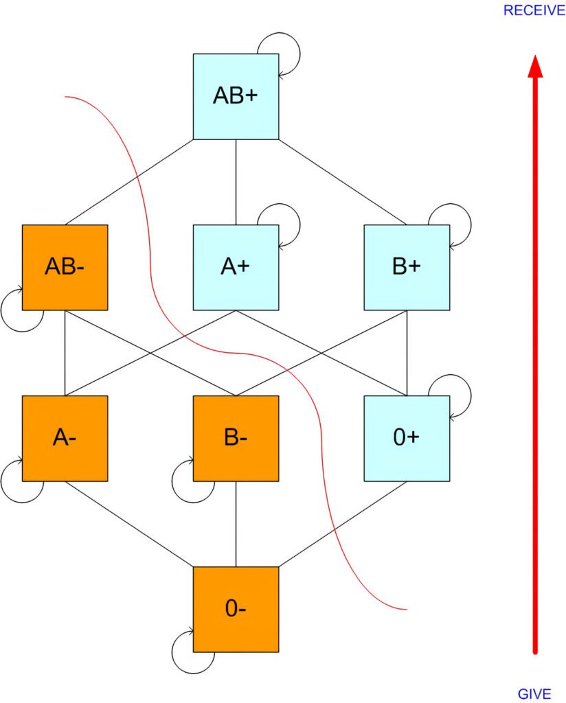 El riesgo de ictus se eleva si tienes este grupo sanguíneo (aunque seas joven)
