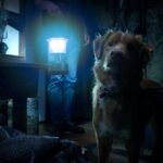 De qué va ‘Good boy’, la película de terror con un perro de protagonista que se ha vuelto viral