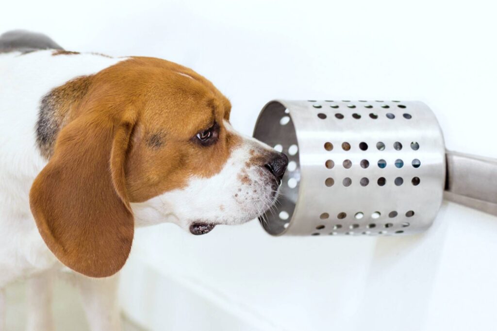 «Otras personas me tienen alergia (literalmente)»: la curiosa afección de la que nadie habla