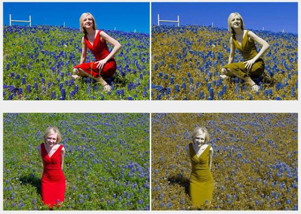 La pintora capaz de percibir más de 100 millones de colores