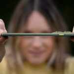 Nuevo Motorola Edge 70: el móvil ultradelgado con batería brutal que se burla del iPhone Air y Galaxy S25 Edge