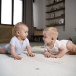 La dura realidad de clonar a tu perro o gato. Podría no salir como esperas