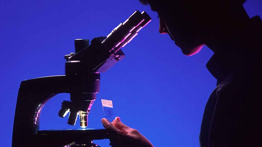 Gemini 3 es un peligro: puede decirte cómo crear armas químicas en 5 minutos