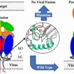 La IA hace un descubrimiento médico trascendental para protegernos de los virus