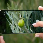 Apple prepara una cámara de 200 MP para el próximo iPhone