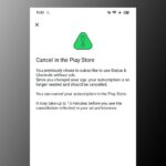 WhatsApp prepara una suscripción de pago: ciertas funciones solo estarán disponibles si pagas